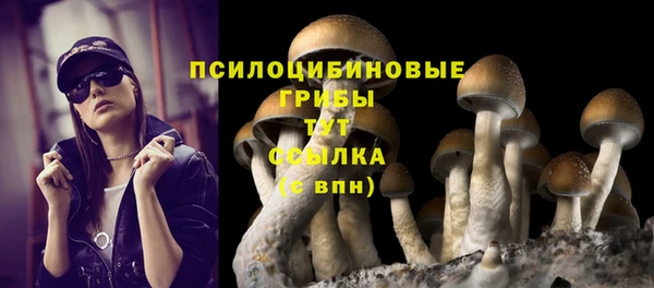 ГАЛЛЮЦИНОГЕННЫЕ ГРИБЫ Баксан