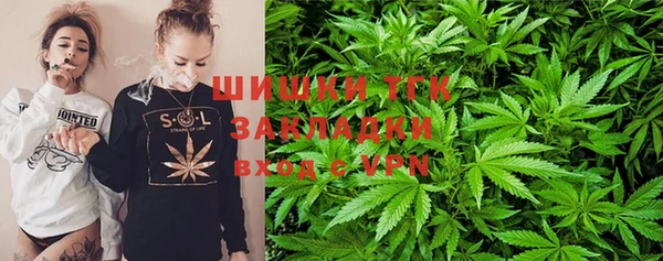 ГАЛЛЮЦИНОГЕННЫЕ ГРИБЫ Баксан
