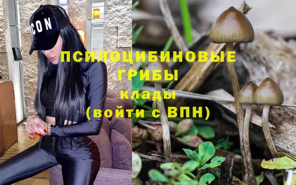 ГАЛЛЮЦИНОГЕННЫЕ ГРИБЫ Баксан