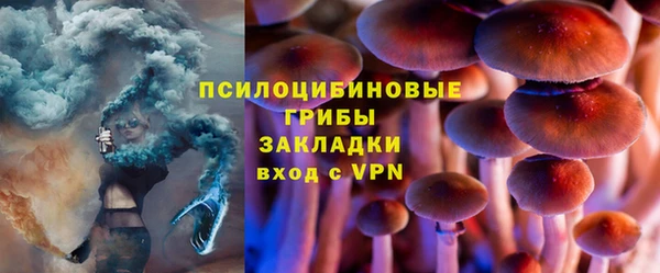 ГАЛЛЮЦИНОГЕННЫЕ ГРИБЫ Баксан